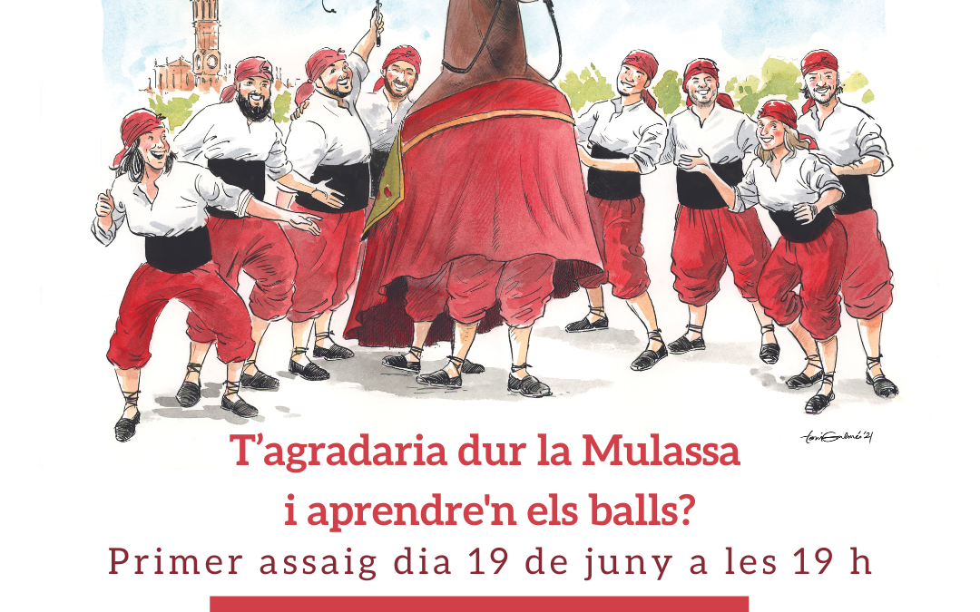 T’agradaria dur la Mulassa i aprendre’n els balls?