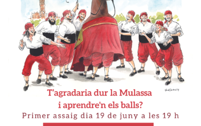 T’agradaria dur la Mulassa i aprendre’n els balls?